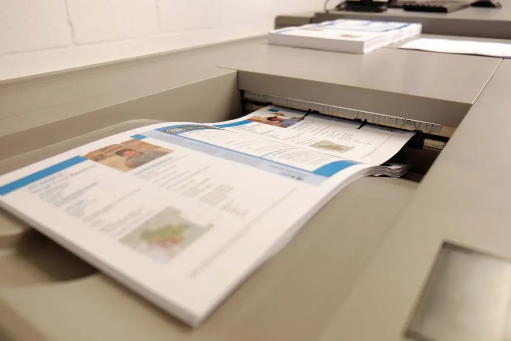 Enclosing and fulfilment department at Kingsline Solutions, Heathfield